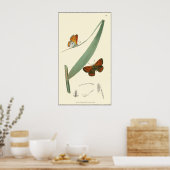 Colorful Butterflies die rond een leder stroomt Poster (Keuken)