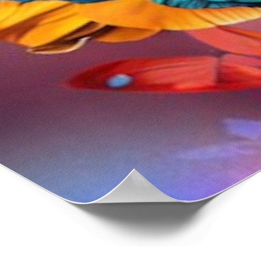 Colorful Butterflies Poster (Hoek)