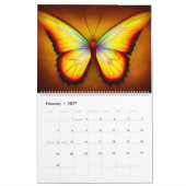 Colorful Butterflies | Radiant Butterfly Magic Kalender (Feb 2027)