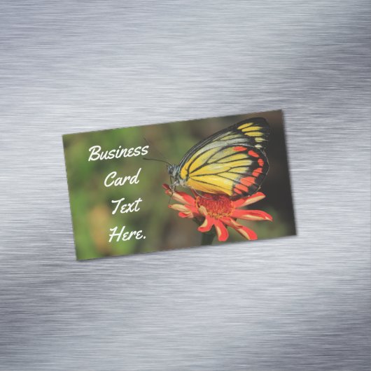 Colorful Butterfly Magnetisch Visitekaartje (Voorbeeld)