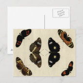 Colorful Butterfly Medley on Cream Background Briefkaart (Voorkant / Achterkant)