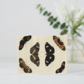 Colorful Butterfly Medley on Cream Background Briefkaart (Staand voorkant)