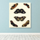 Colorful Butterfly Medley on Cream Background Canvas Afdruk (Insitu (Houten vloer))