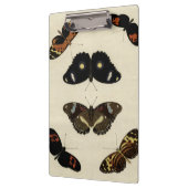 Colorful Butterfly Medley on Cream Background Klembord (Links)
