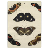 Colorful Butterfly Medley on Cream Background Klembord (Achterkant)