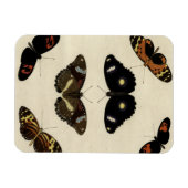Colorful Butterfly Medley on Cream Background Magneet (Horizontaal)