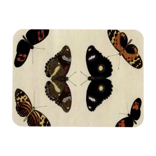 Colorful Butterfly Medley on Cream Background Magneet (Horizontaal)