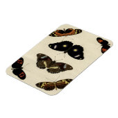 Colorful Butterfly Medley on Cream Background Magneet (Linkerzijde)