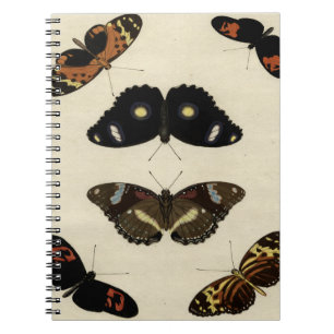 Colorful Butterfly Medley on Cream Background Notitieboek