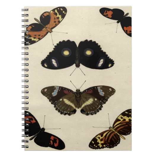 Colorful Butterfly Medley on Cream Background Notitieboek (Voorkant)