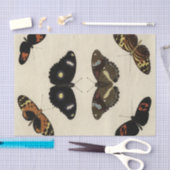 Colorful Butterfly Medley on Cream Background Tissuepapier (Craft)