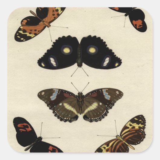 Colorful Butterfly Medley on Cream Background Vierkante Sticker (Voorkant)