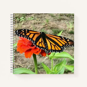 Colorful Butterfly Notitieboek