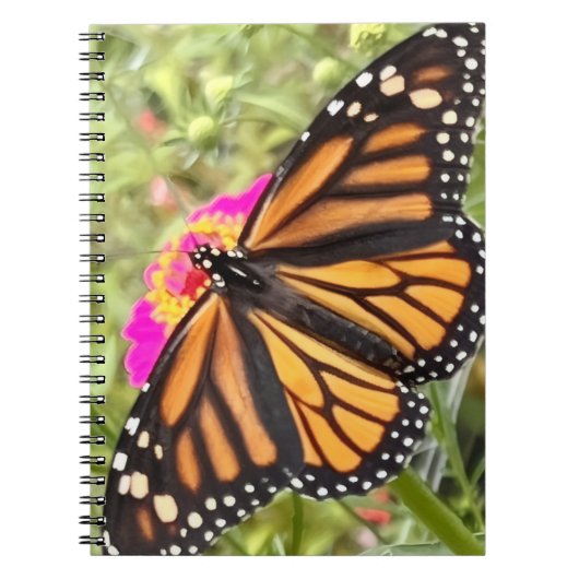 Colorful Butterfly Notitieboek (Voorkant)