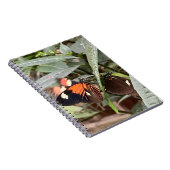 Colorful Butterfly Notitieboek (Rechterzijde)