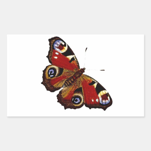 Colorful Butterfly Rechthoekige Sticker (Voorkant)