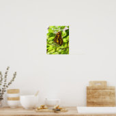 Colorful Butterfly Waterverf Sketch Natuur Poster (Keuken)