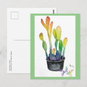 Colorful Cacti Briefkaart (Voorkant / Achterkant)
