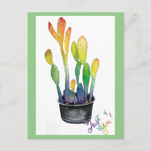 Colorful Cacti Briefkaart (Voorkant)