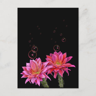 Colorful Cactus Flowers met Poster van Bubbles Briefkaart