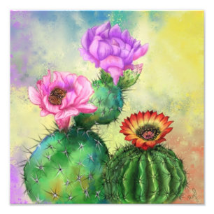 Colorful Cactus Flowers Photo Print - schilder Foto Afdruk