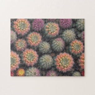 Colorful Cactus Legpuzzel