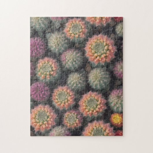 Colorful Cactus Legpuzzel (Verticaal)