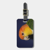 Colorful Caique Parrot Bagagelabel (Voorkant verticaal)