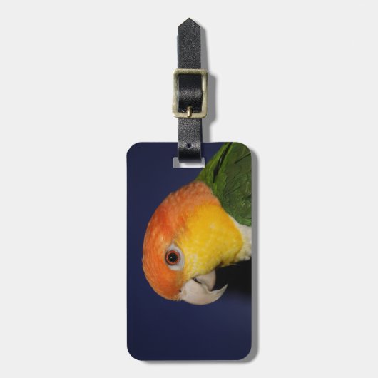 Colorful Caique Parrot Bagagelabel (Voorkant verticaal)