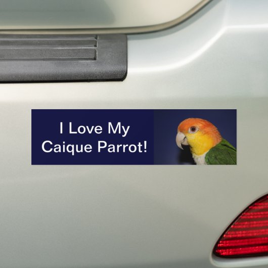 Colorful Caique Parrot Bumpersticker (Op auto)