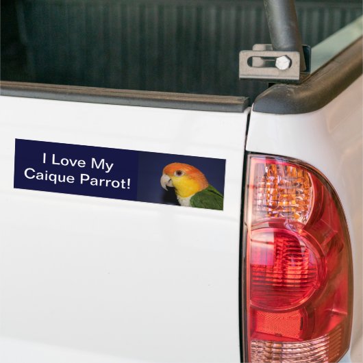 Colorful Caique Parrot Bumpersticker (Op Truck)