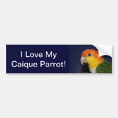 Colorful Caique Parrot Bumpersticker (Voorkant)