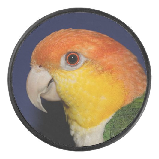 Colorful Caique Parrot Hockey Puck (Voorkant)