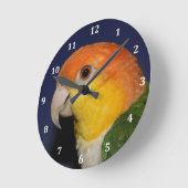 Colorful Caique Parrot Ronde Klok (Hoek)