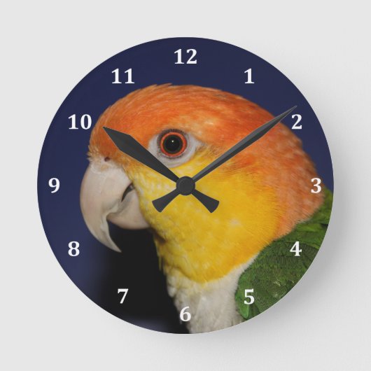 Colorful Caique Parrot Ronde Klok (Voorkant)