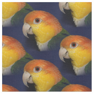 Colorful Caique Parrot Stof