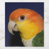 Colorful Caique Parrot Wijn Etiket (Enkel label)