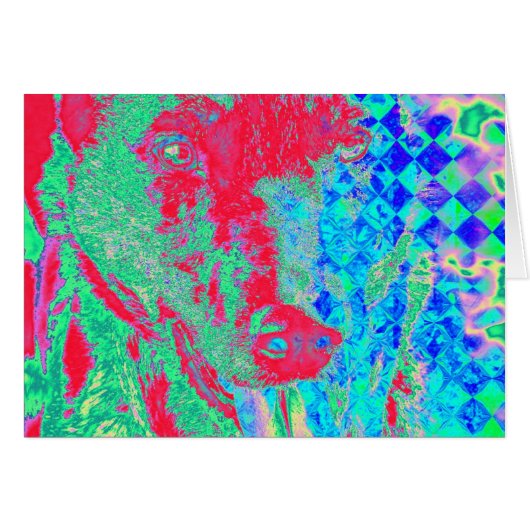 Colorful Canine (Voorkant Horizontaal)