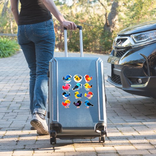 Colorful Cartoon Bird Sticker Set (Koffer Insitu)