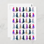 Colorful Cats Patroon Briefkaart (Voorkant / Achterkant)
