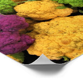 Colorful Cauliflower, herfst decor Poster (Hoek)