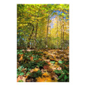 Colorful Central Park uitzicht Foto afdrukken (Voorkant)