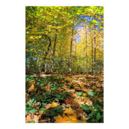 Colorful Central Park uitzicht Foto afdrukken