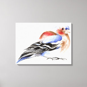 Colorful Chaffinch 2011 Canvas Afdruk