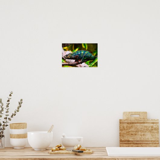 Colorful Chameleon Poster (Keuken)