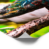 Colorful Chameleon Poster (Hoek)