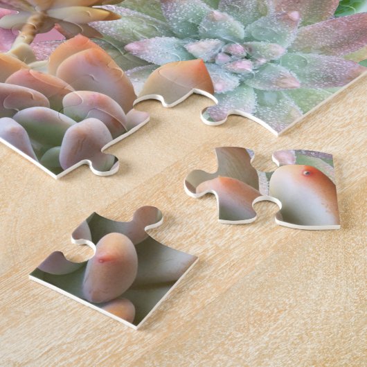 Colorful Cheerful Rainbow Succulent Puzzle Legpuzzel (Zijkant)