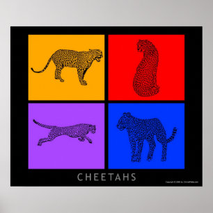 Colorful Cheetah Poster