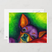 Colorful Chihuahua Briefkaart (Voorkant / Achterkant)