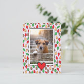 Colorful Christmas Lights Dog Briefkaart (Staand voorkant)